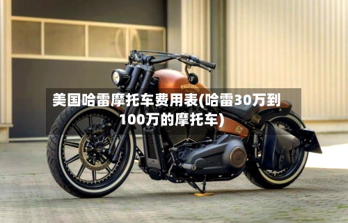 美国哈雷摩托车费用表(哈雷30万到100万的摩托车)