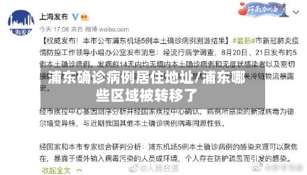 浦东确诊病例居住地址/浦东哪些区域被转移了-第2张图片
