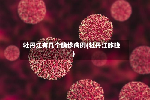 牡丹江有几个确诊病例(牡丹江昨晚)-第3张图片