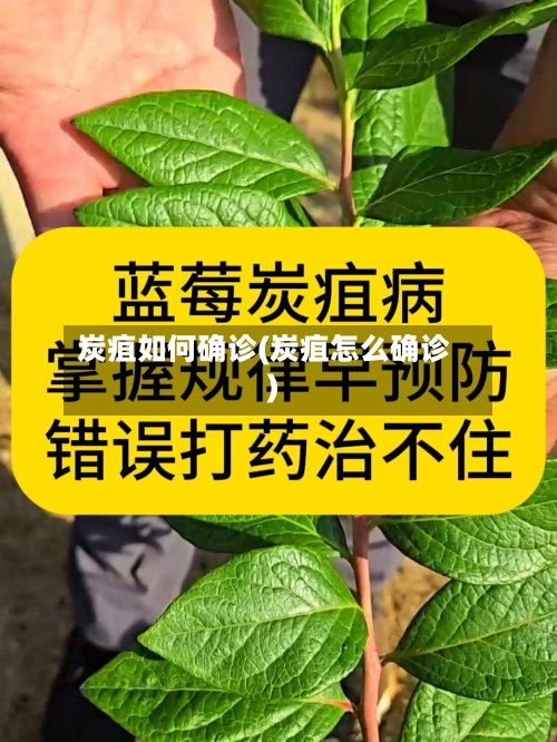炭疽如何确诊(炭疽怎么确诊)