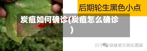 炭疽如何确诊(炭疽怎么确诊)-第3张图片