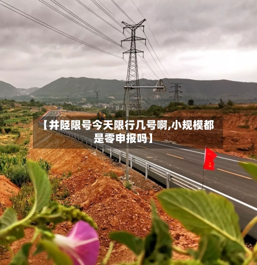 【井陉限号今天限行几号啊,小规模都是零申报吗】