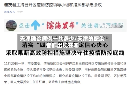 天津确诊病例一共多少/天津的感染者都出现在哪-第2张图片