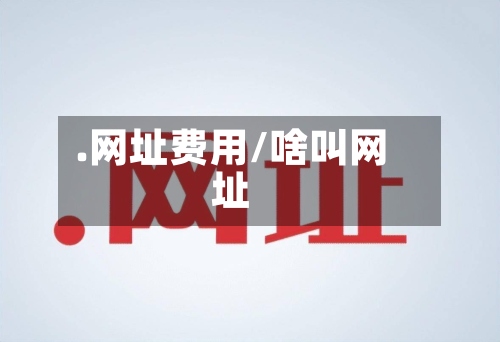 .网址费用/啥叫网址