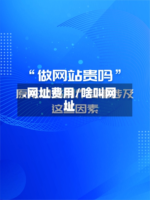 .网址费用/啥叫网址-第3张图片