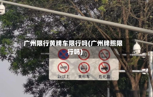 广州限行黄牌车限行吗(广州牌照限行吗)-第2张图片