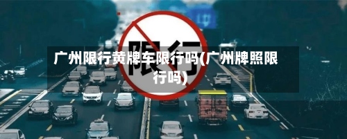 广州限行黄牌车限行吗(广州牌照限行吗)-第3张图片