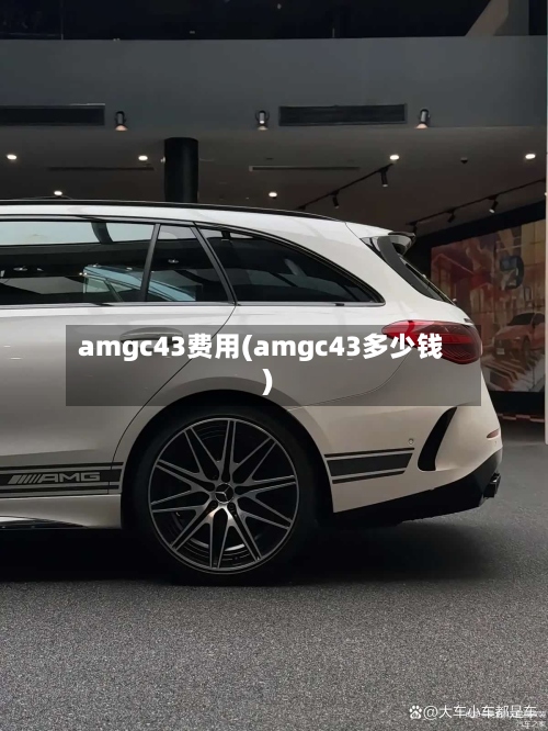 amgc43费用(amgc43多少钱)-第2张图片