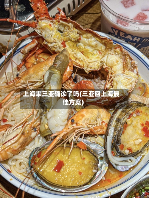 上海来三亚确诊了吗(三亚回上海最佳方案)-第3张图片