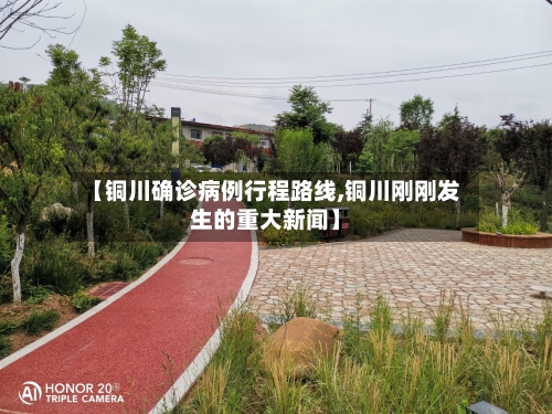 【铜川确诊病例行程路线,铜川刚刚发生的重大新闻】-第2张图片