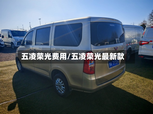 五凌荣光费用/五凌荣光最新款