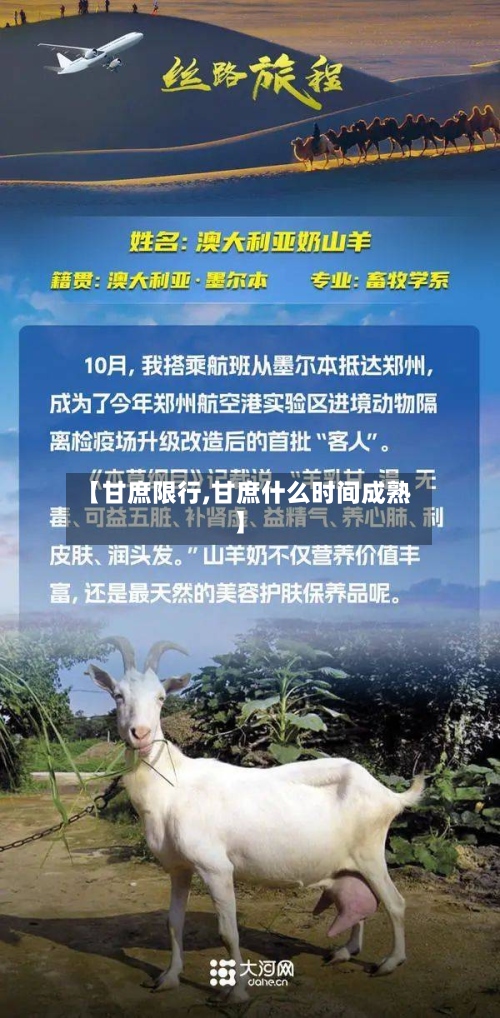 【甘庶限行,甘庶什么时间成熟】-第2张图片