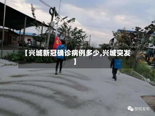 【兴城新冠确诊病例多少,兴城突发】