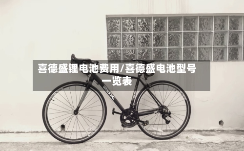 喜德盛锂电池费用/喜德盛电池型号一览表
