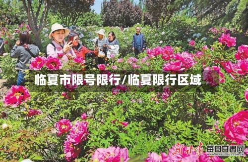 临夏市限号限行/临夏限行区域