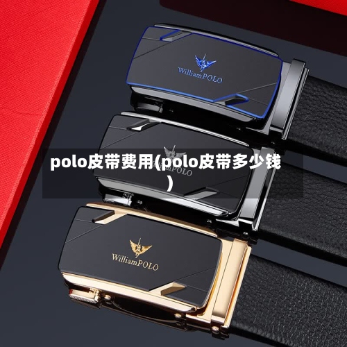 polo皮带费用(polo皮带多少钱)-第2张图片