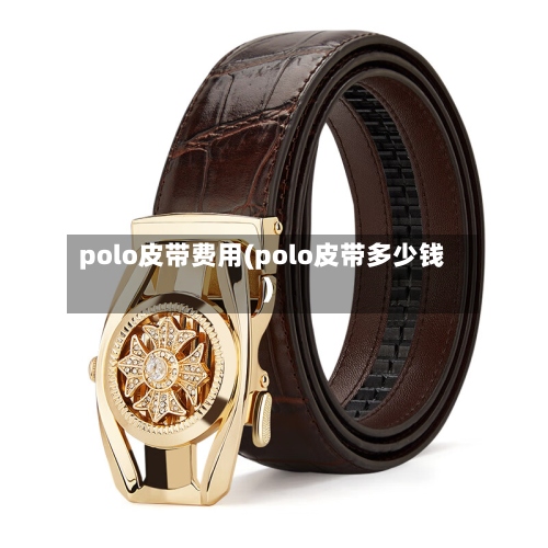 polo皮带费用(polo皮带多少钱)-第3张图片