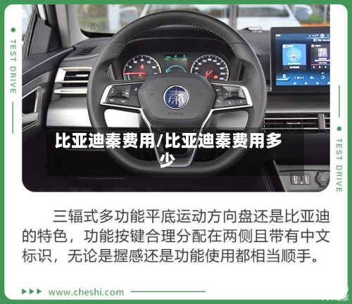 比亚迪秦费用/比亚迪秦费用多少