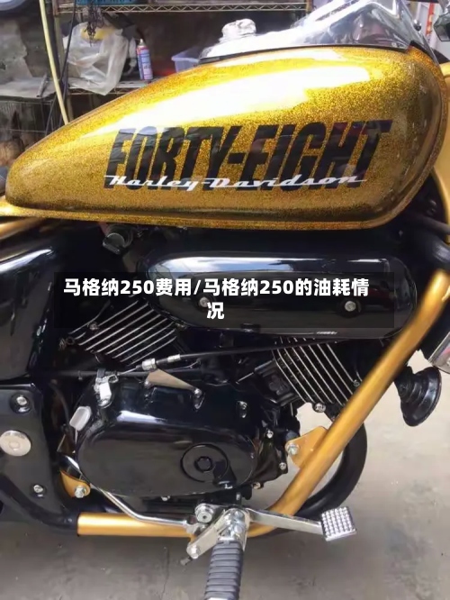 马格纳250费用/马格纳250的油耗情况-第2张图片