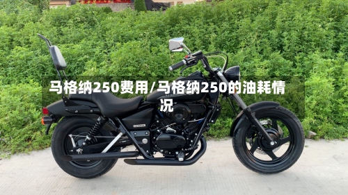 马格纳250费用/马格纳250的油耗情况