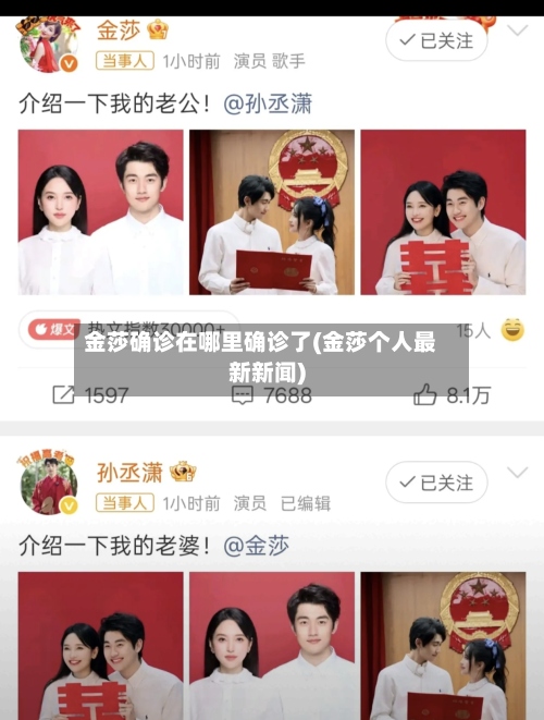 金莎确诊在哪里确诊了(金莎个人最新新闻)-第2张图片