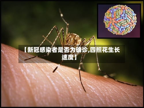 【新冠感染者是否为确诊,四照花生长速度】
