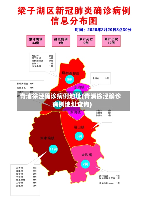 青浦徐泾确诊病例地址(青浦徐泾确诊病例地址查询)