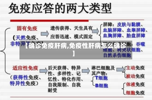 【确诊免疫肝病,免疫性肝病怎么确诊】-第2张图片