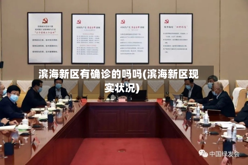 滨海新区有确诊的吗吗(滨海新区现实状况)-第3张图片