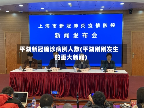 平湖新冠确诊病例人数(平湖刚刚发生的重大新闻)-第3张图片