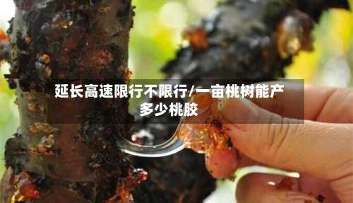 延长高速限行不限行/一亩桃树能产多少桃胶-第2张图片