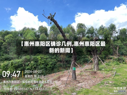 【惠州惠阳区确诊几例,惠州惠阳区最新的新闻】-第2张图片