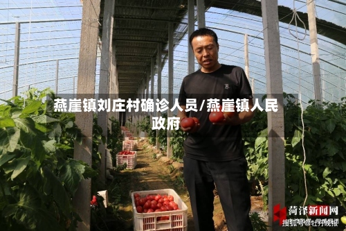 燕崖镇刘庄村确诊人员/燕崖镇人民政府