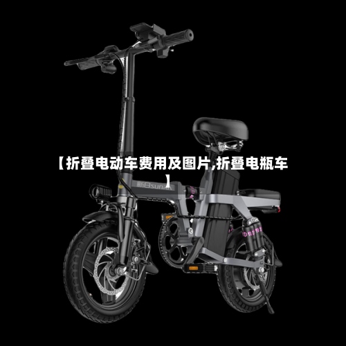 【折叠电动车费用及图片,折叠电瓶车】