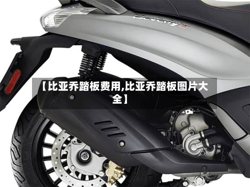 【比亚乔踏板费用,比亚乔踏板图片大全】