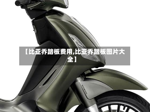 【比亚乔踏板费用,比亚乔踏板图片大全】-第3张图片