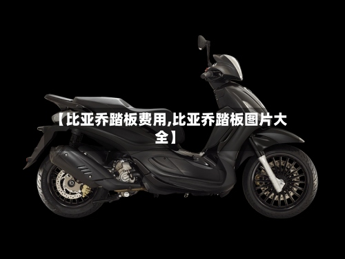 【比亚乔踏板费用,比亚乔踏板图片大全】-第2张图片