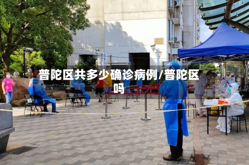 普陀区共多少确诊病例/普陀区吗