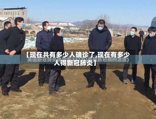 【现在共有多少人确诊了,现在有多少人得新冠肺炎】-第2张图片