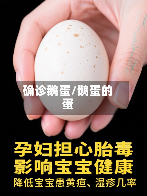 确诊鹅蛋/鹅蛋的蛋