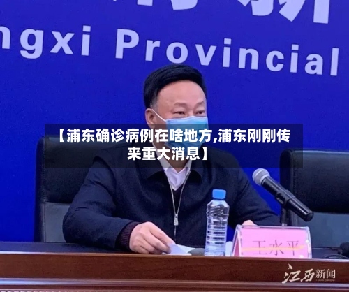 【浦东确诊病例在啥地方,浦东刚刚传来重大消息】-第2张图片