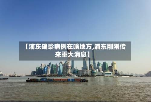 【浦东确诊病例在啥地方,浦东刚刚传来重大消息】