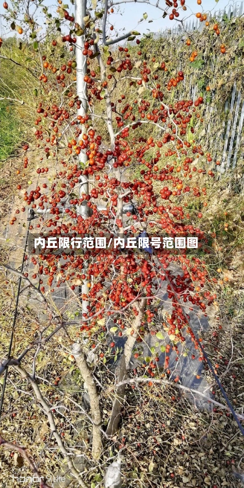 内丘限行范围/内丘限号范围图