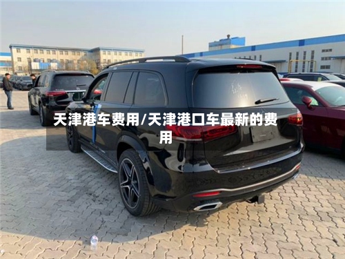 天津港车费用/天津港口车最新的费用-第3张图片