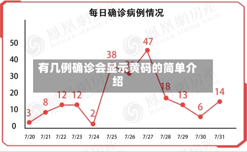 有几例确诊会显示黄码的简单介绍-第2张图片
