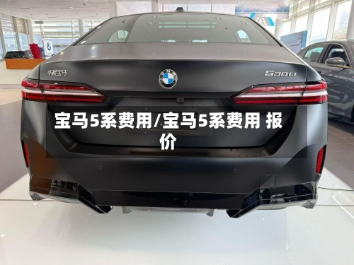宝马5系费用/宝马5系费用 报价-第2张图片