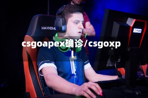 csgoapex确诊/csgoxpl-第2张图片