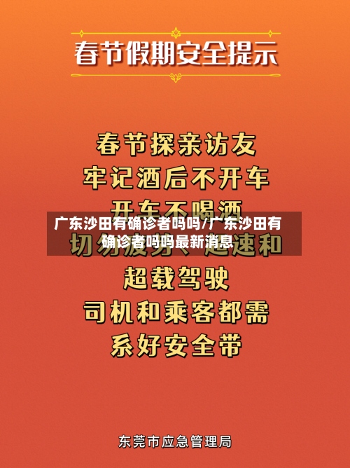 广东沙田有确诊者吗吗/广东沙田有确诊者吗吗最新消息