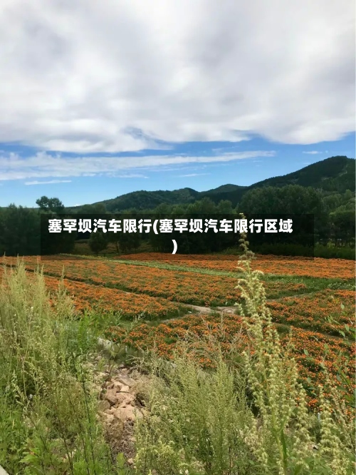 塞罕坝汽车限行(塞罕坝汽车限行区域)