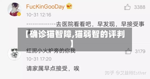 【确诊猫智障,猫弱智的评判】